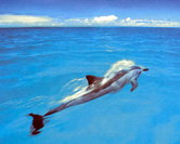 galleria delfini  5